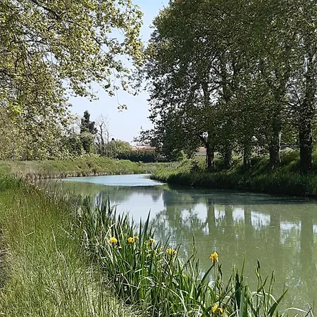 Camping Les Peupliers *